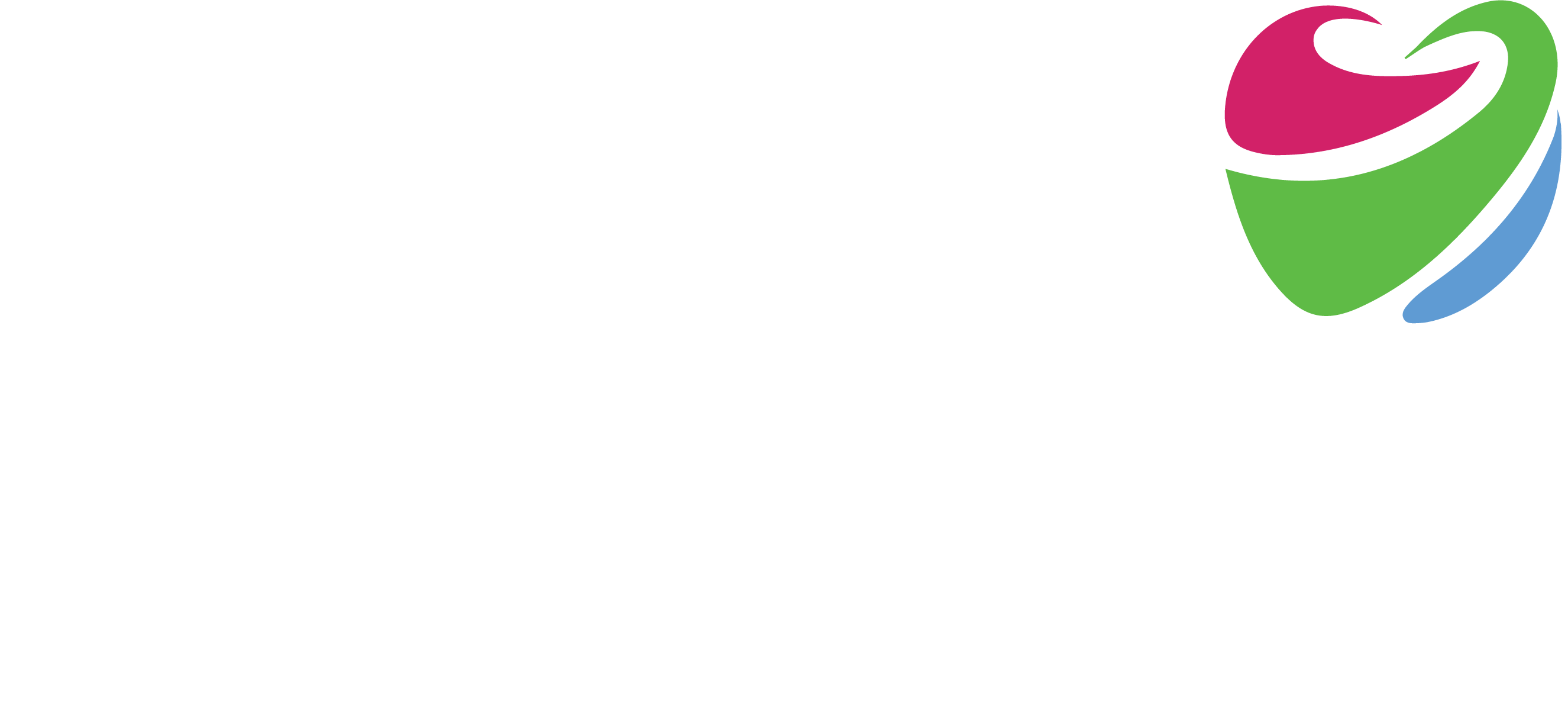 IHW Council Global Summit